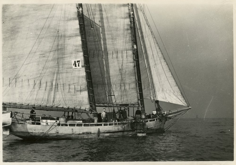 98-173 (click for large image)